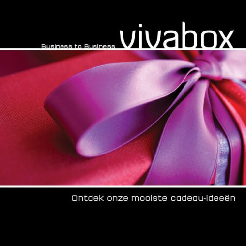 vivabox huisstijl