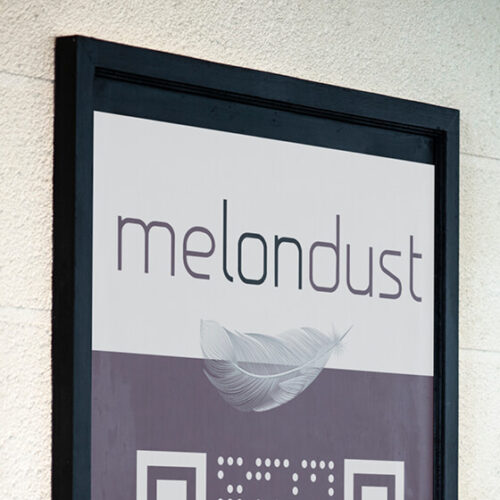 melondust poster